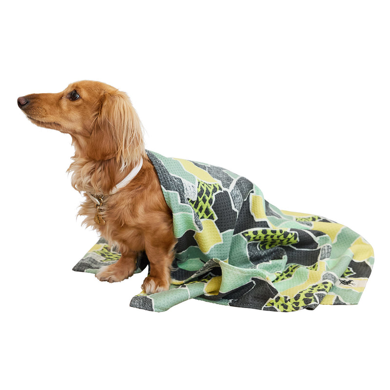 dock and bay towels dog