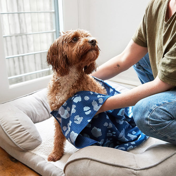 dock and bay dog towels