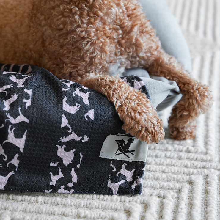 Dock & Bay Serviettes de chien - Pawfect Purple