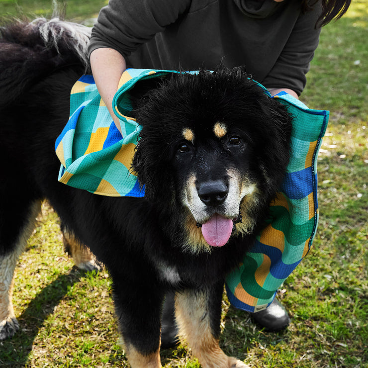 dock and bay towels dog