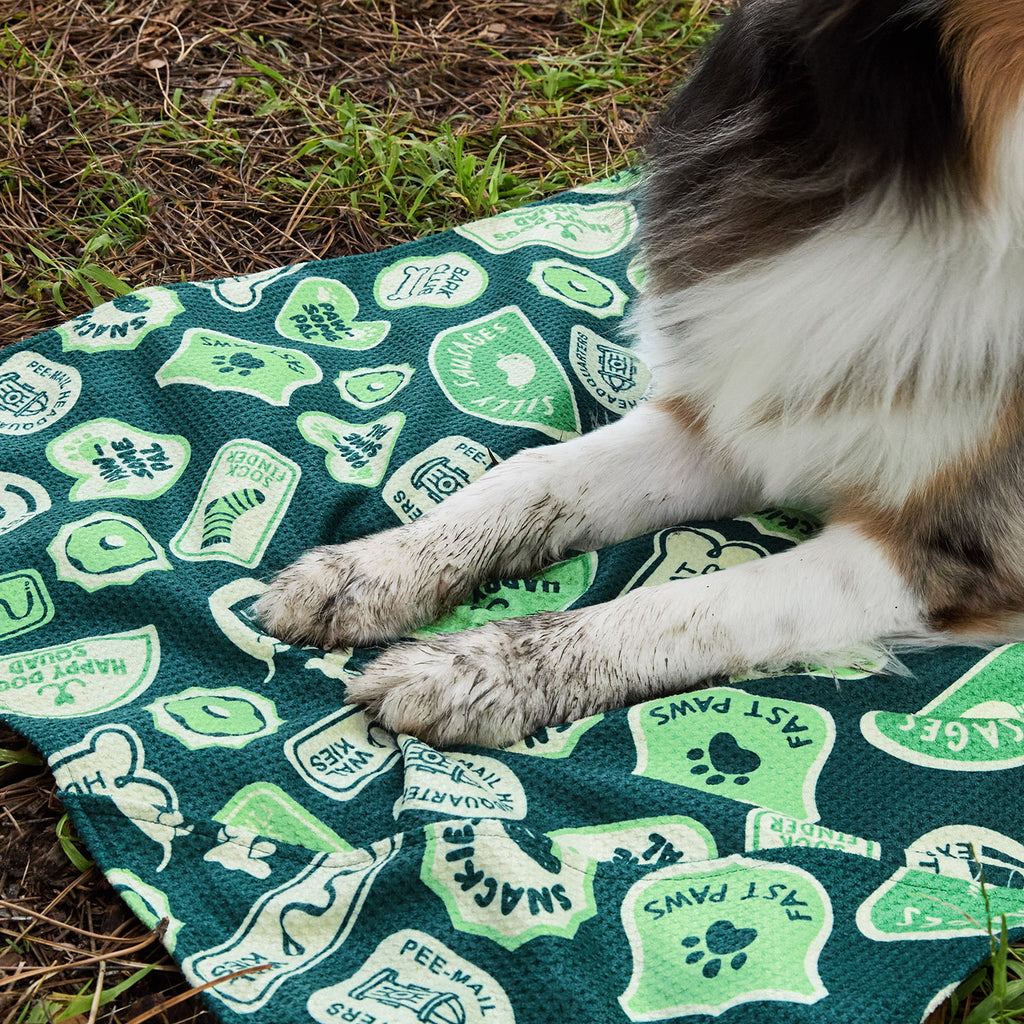 dock and bay towels dog
