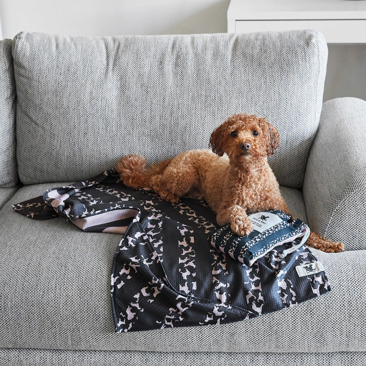 dock and bay dog towels