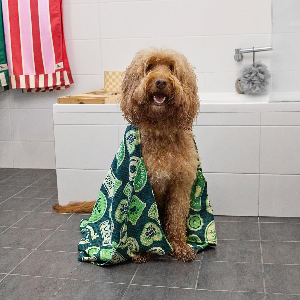 dock and bay towels dog