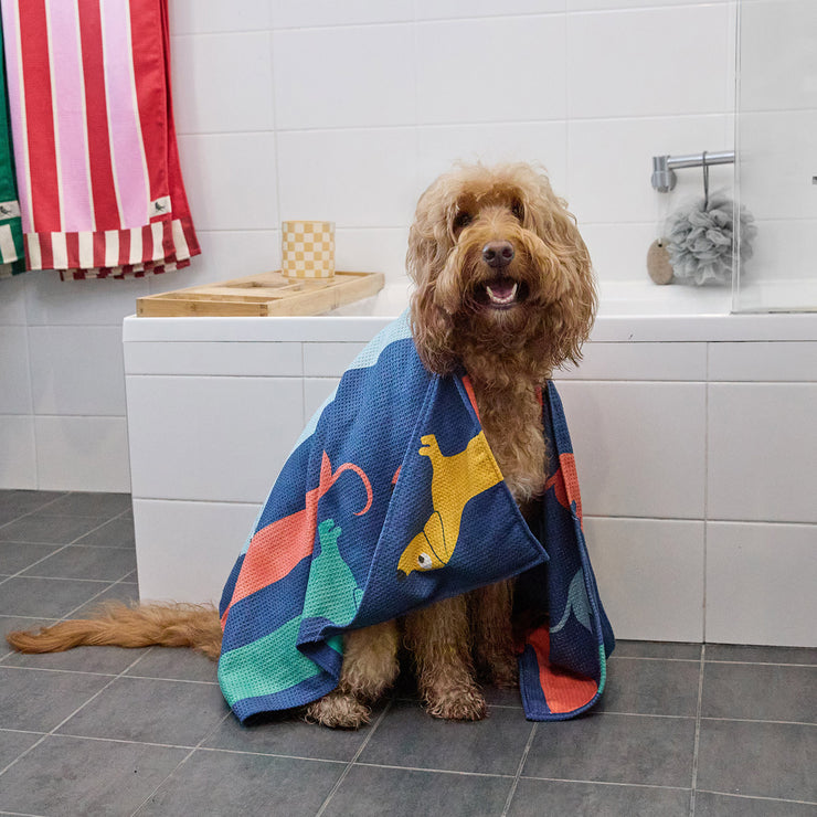 dock and bay towels dog