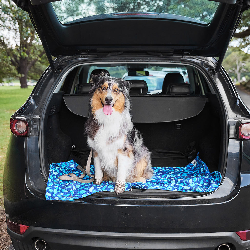 dock and bay towels dog