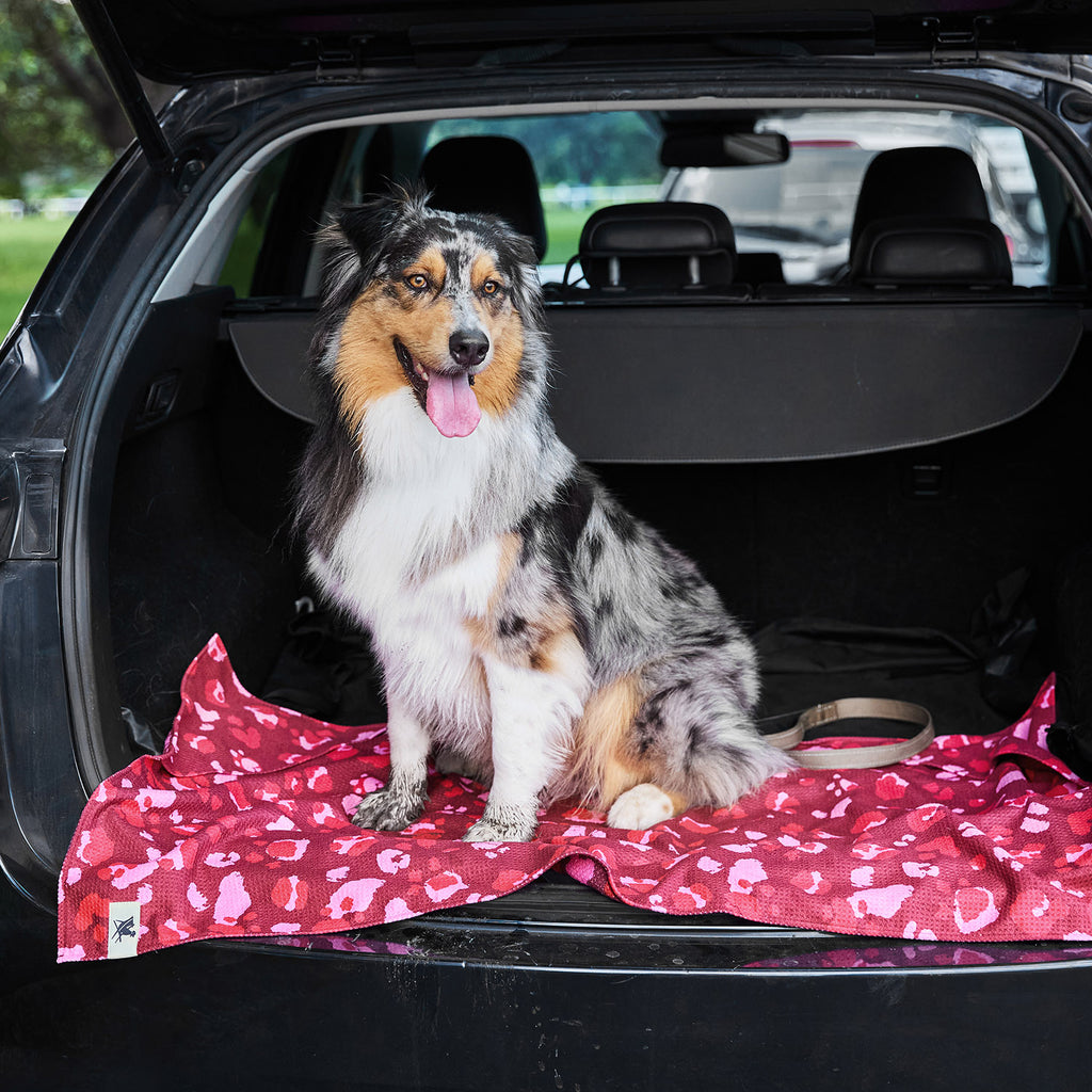 dock and bay towels dog