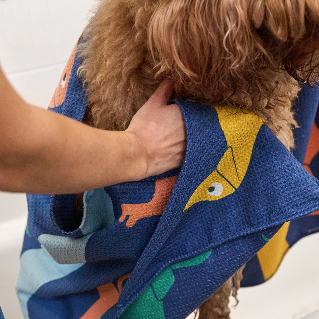 dock and bay towels dog