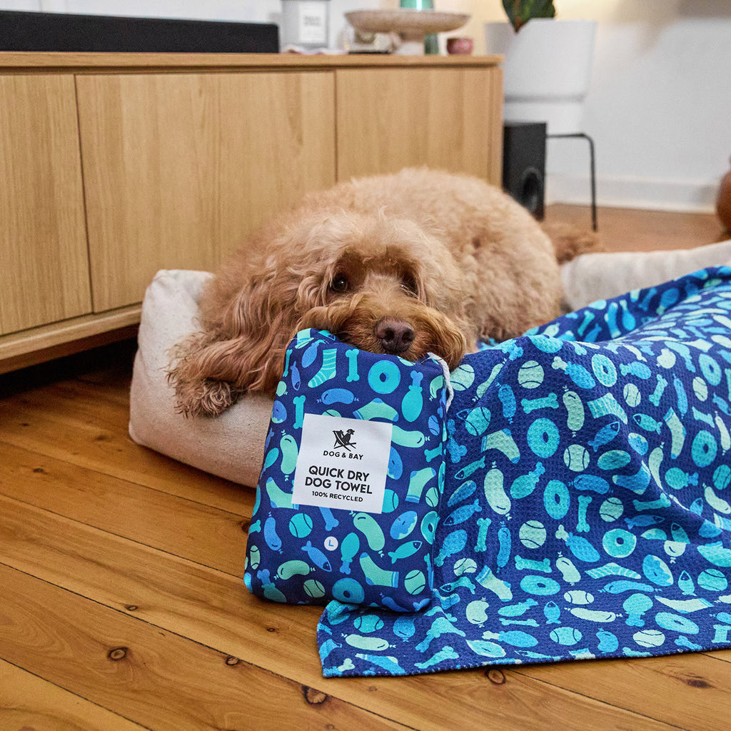 dock and bay towels dog