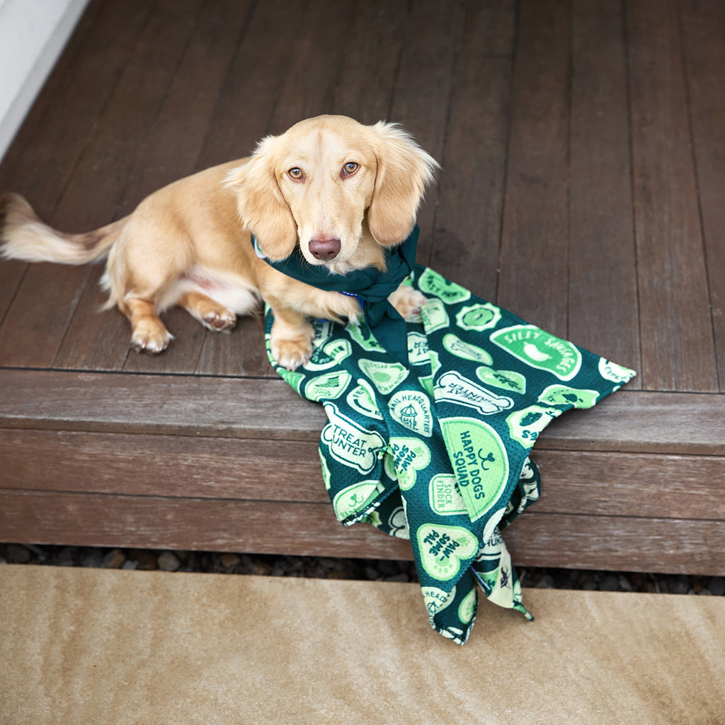 dock and bay towels dog