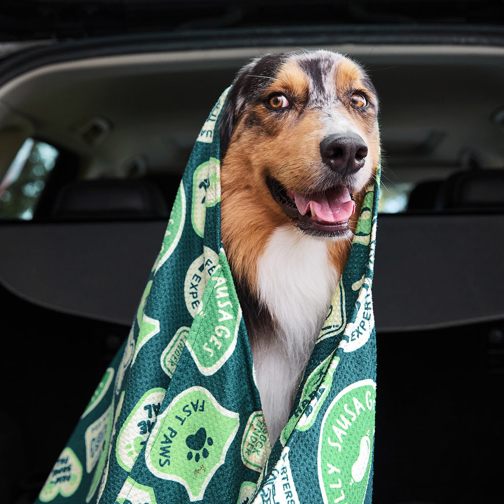dock and bay towels dog