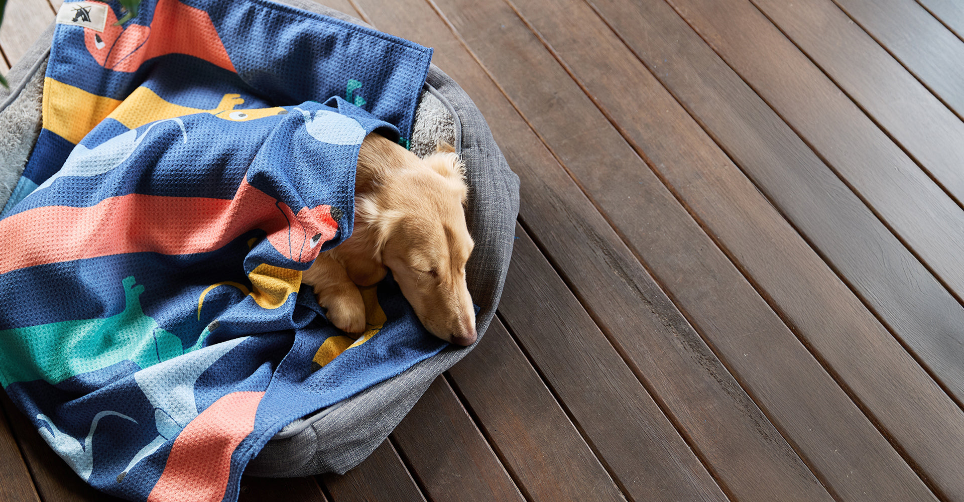 Dock & Bay Hundehandtuch – Go Long