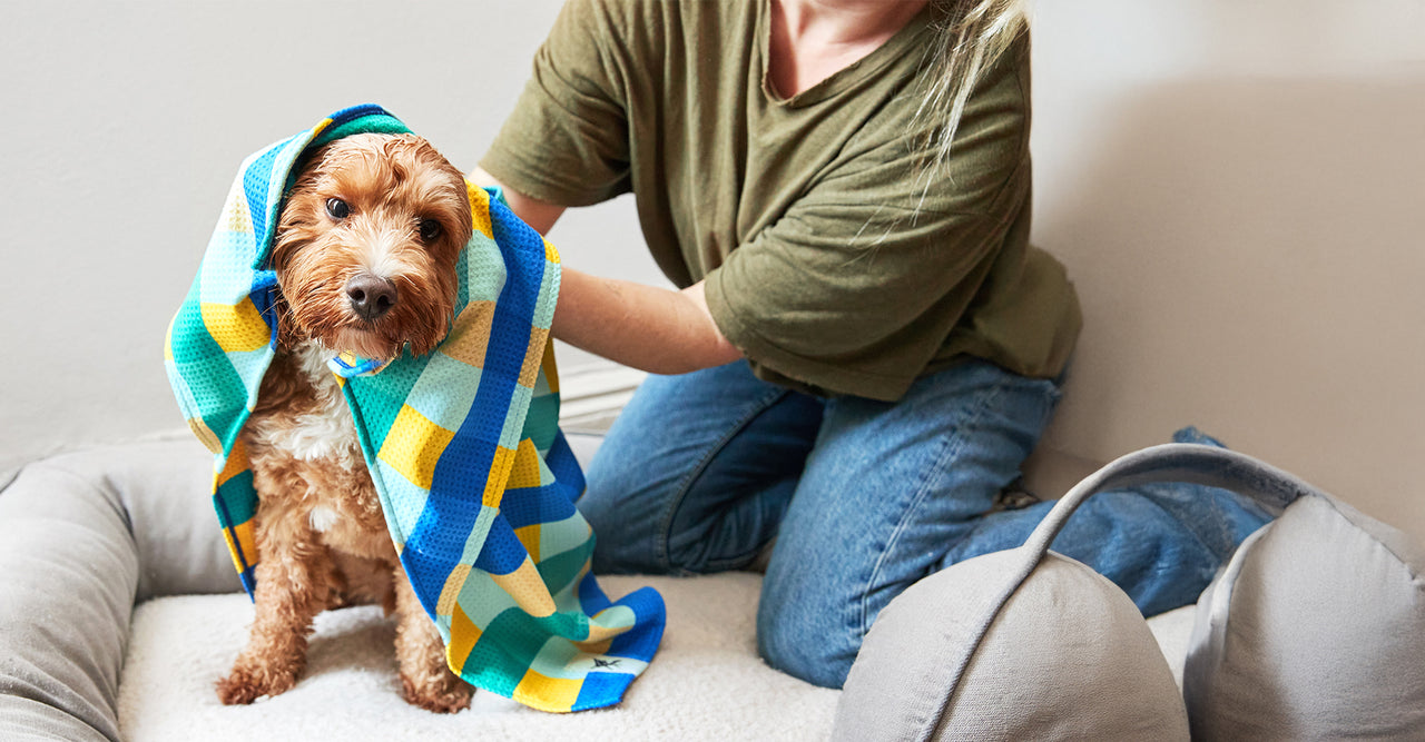 Serviette pour chien Dock & Bay - Plaid chiot