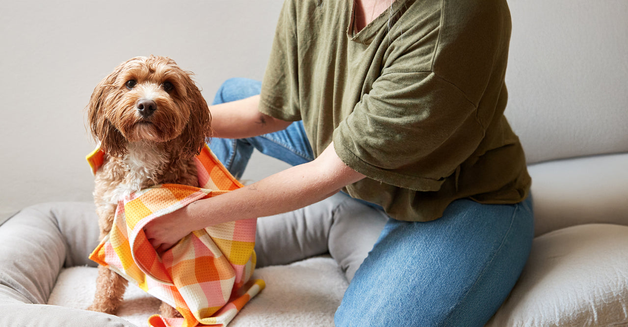 Serviette pour chien Dock & Bay – Rhubarbe et crème anglaise